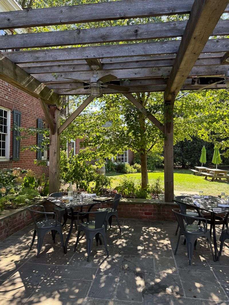 Patio Seats and Furry Guests
