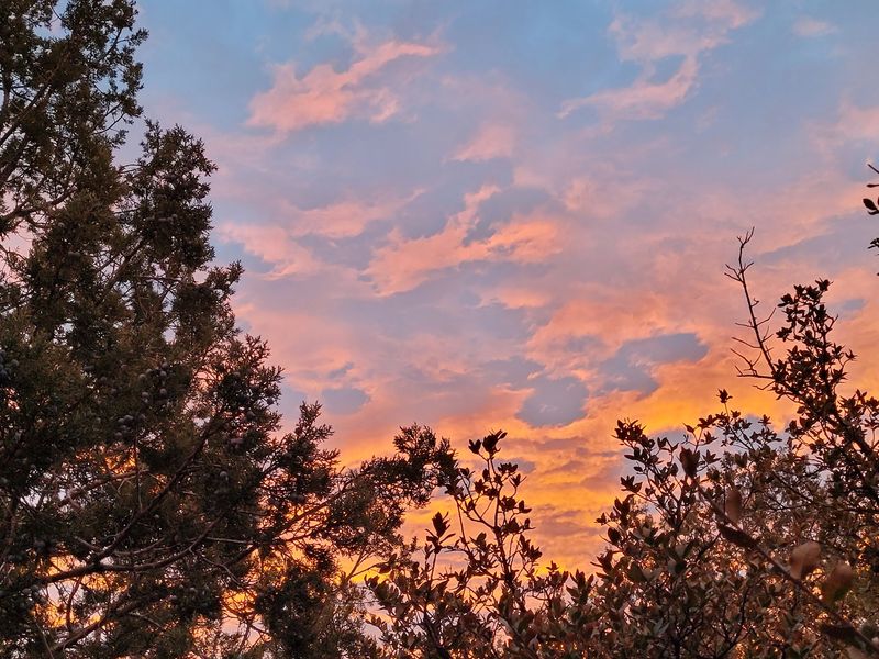 Payson
