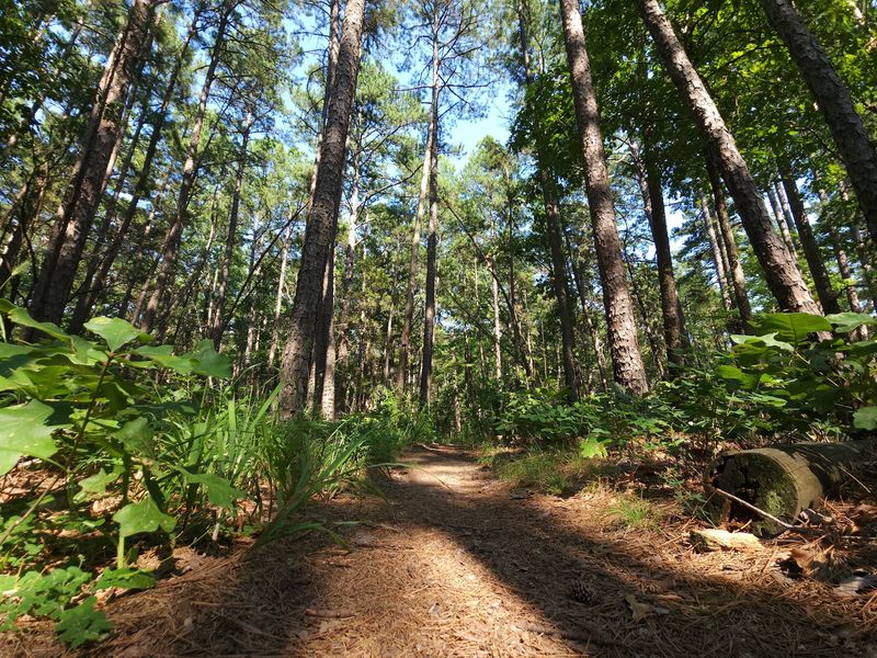 Peace, Quiet, and a Real Chance to Unplug