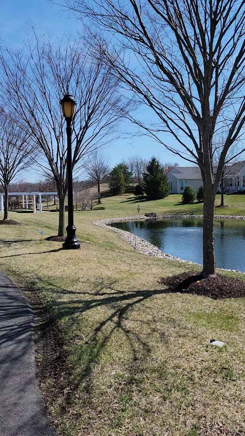 Peaceful Walking Trails