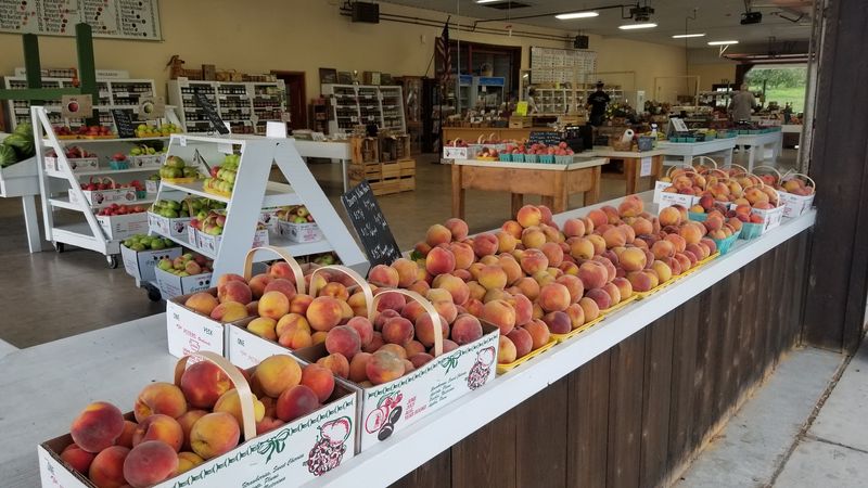Peaches, Plums, and Summer Stone Fruit