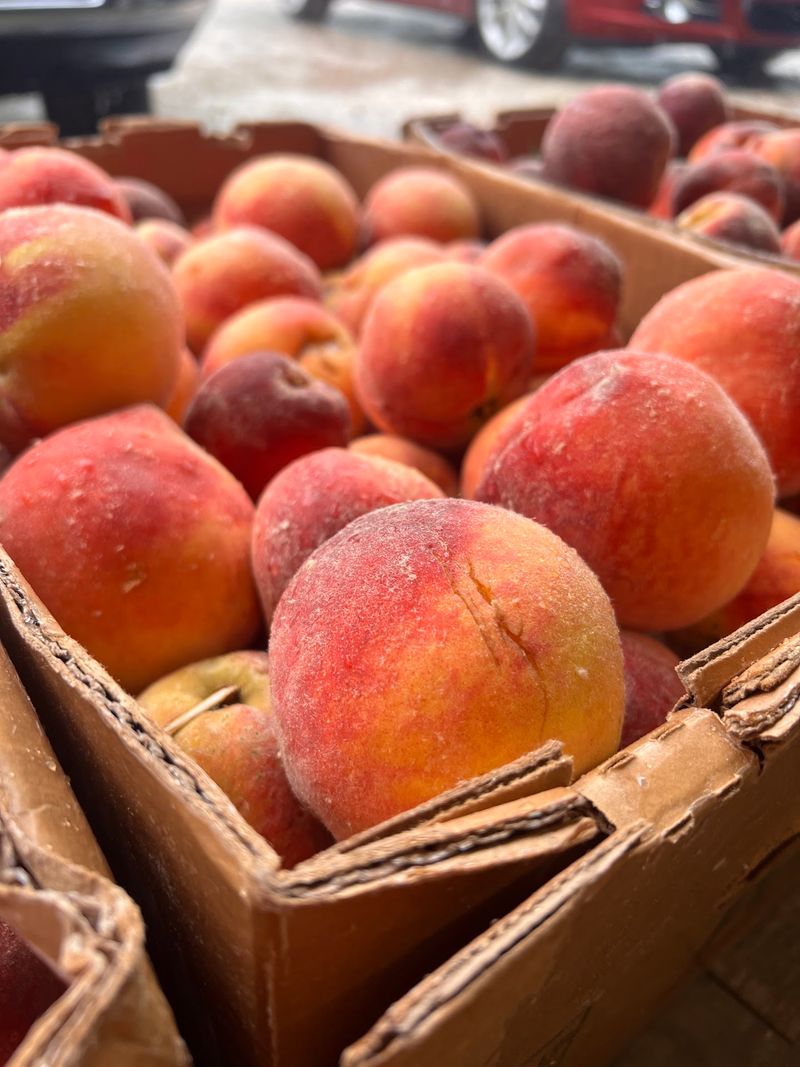 Pee Dee Orchards Inc, Lilesville, NC