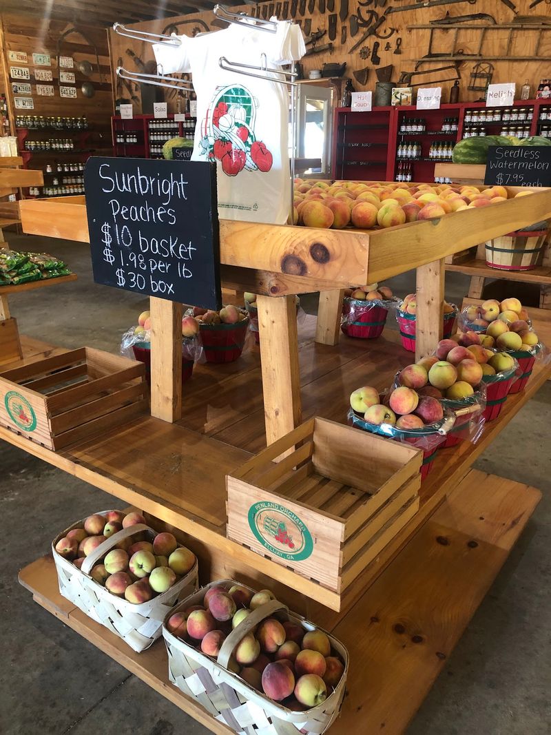 Penland Orchards & Farm Market (formerly Penland's Apple House), Ellijay, GA
