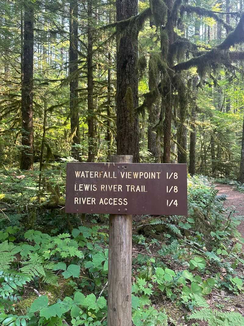Permits, Passes, and the No-Signal Reality