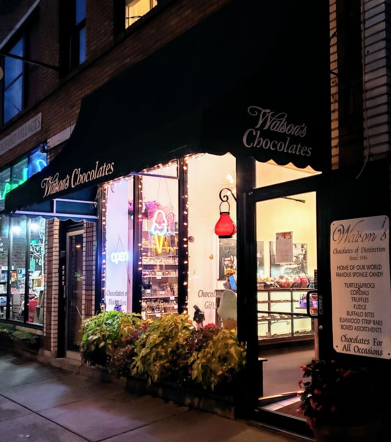 Pet-Friendly and Family-Approved Pet-Friendly and Family-Approved