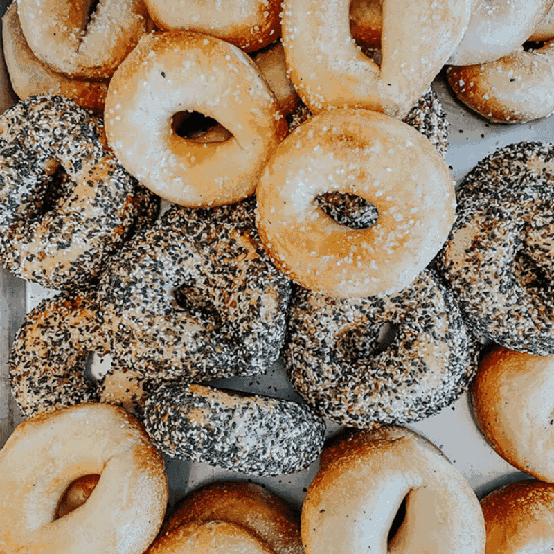 Pete's Bagels, St. Petersburg, FL Pete's Bagels, St. Petersburg, FL