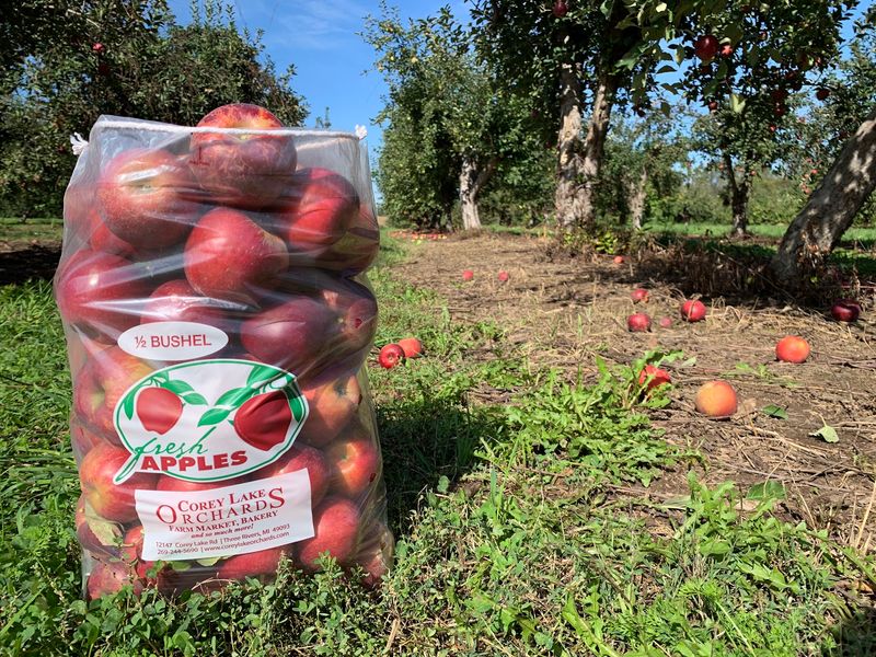 Pick Your Own Apples And Grapes Pick Your Own Apples And Grapes