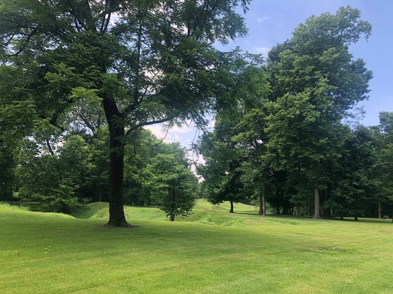 Picnic Areas and Shaded Lawns