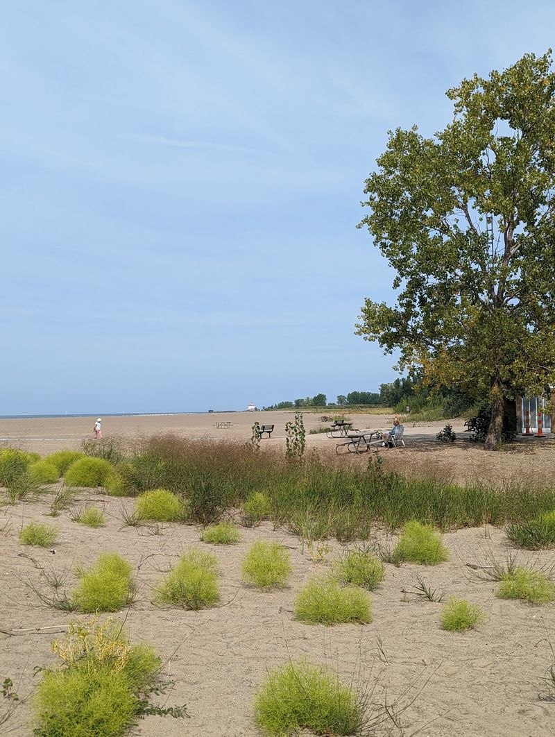 Picnic Shelters, Shade and a Playground Picnic Shelters, Shade and a Playground