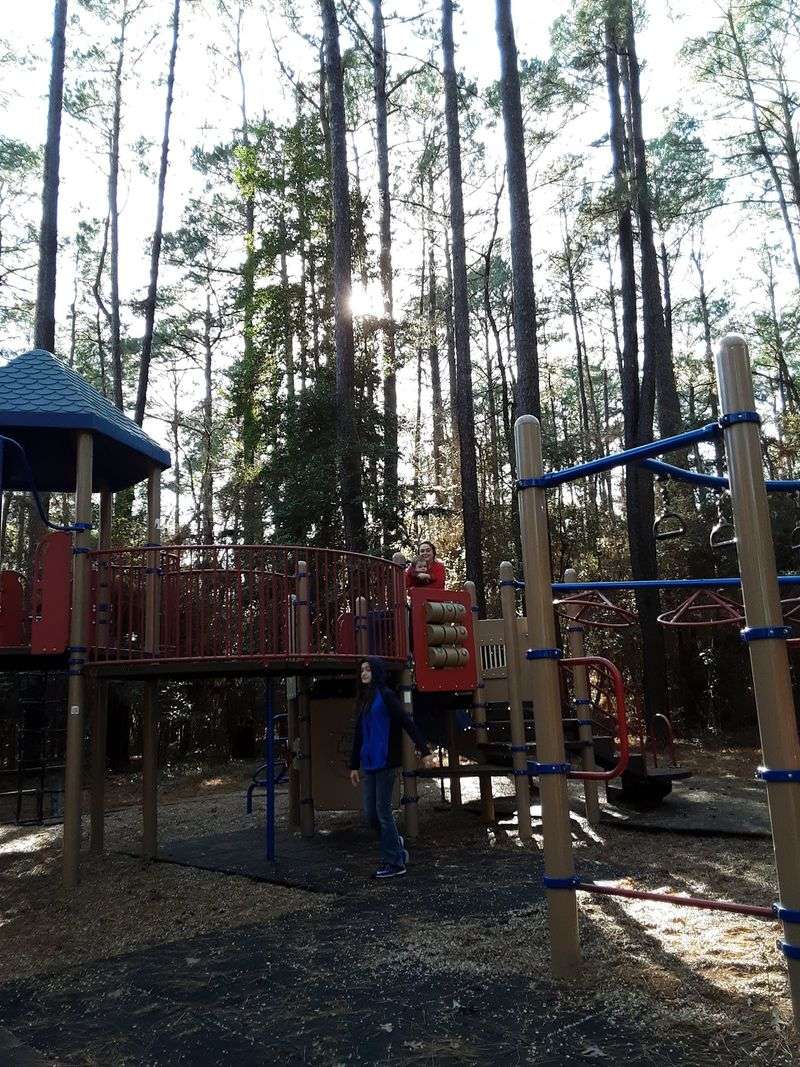 Picnic Spots, Playgrounds and Yard Games
