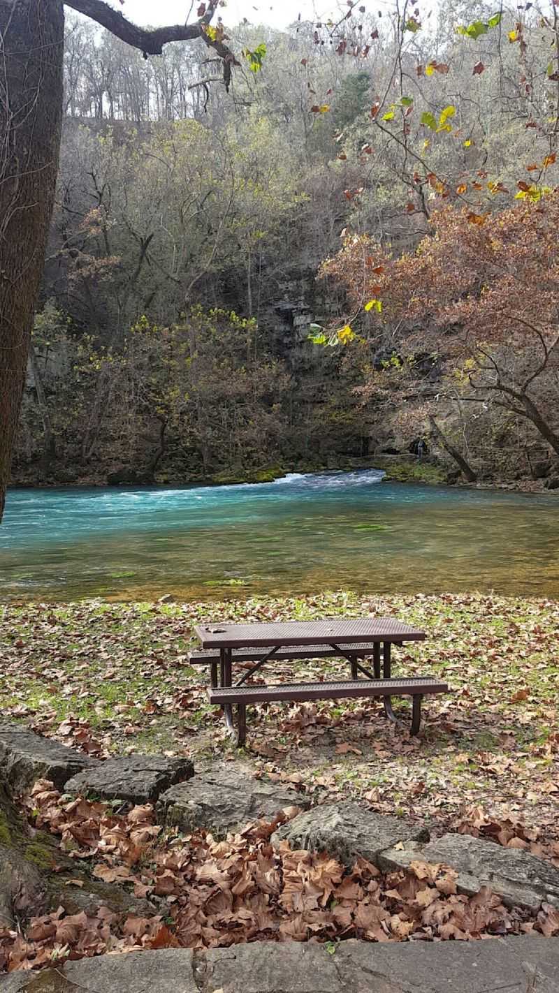 Picnic Tables And Lazy Afternoons Picnic Tables And Lazy Afternoons