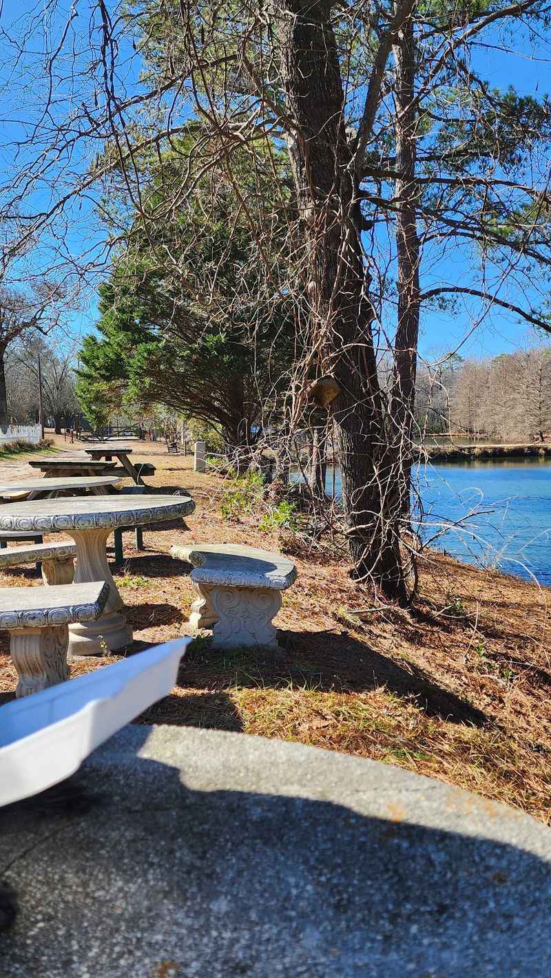 Picnic Tables By The Pond