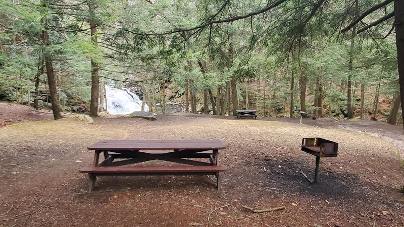 Picnic Tables and Cookout Spots