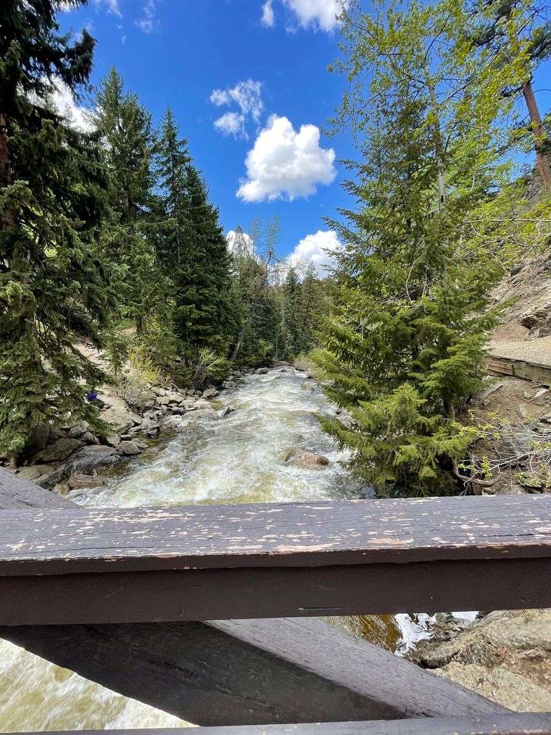 Picnic Tables and a Historic Bridge