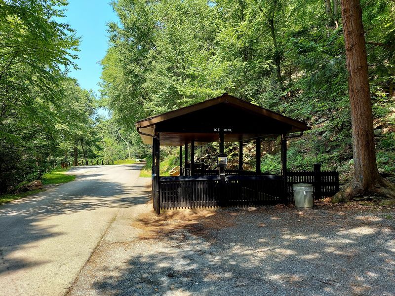Picnics, Camping, and Family-Friendly Comforts Picnics, Camping, and Family-Friendly Comforts