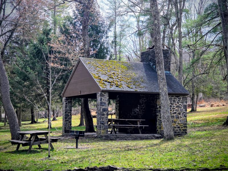 Picnics, Pavilions, And Quiet Corners