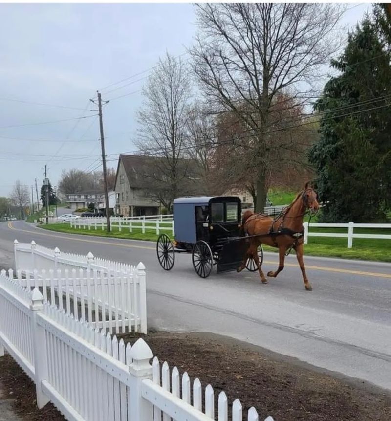 Plain and Fancy Farm, Bird-in-Hand, Pennsylvania
