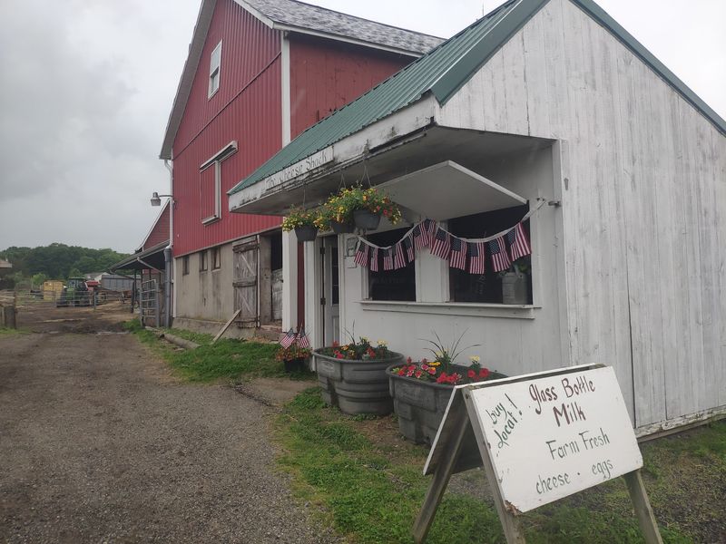 Planning Your Trip to the Farm