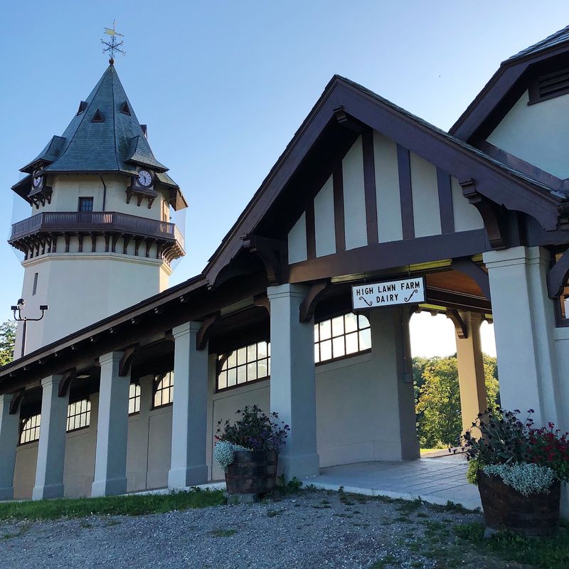 Planning Your Visit and What to Expect