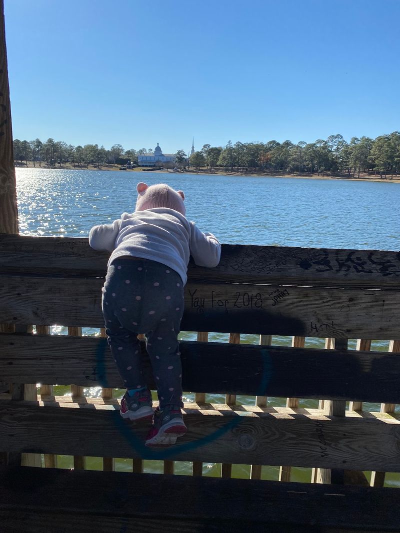 Playgrounds, Piers, And Summer Swimming