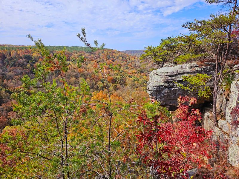 Point Rock Trail And The Climb Worth Taking