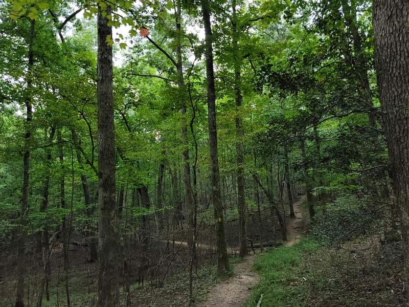 Primitive Camping Behind a Locked Gate Primitive Camping Behind a Locked Gate