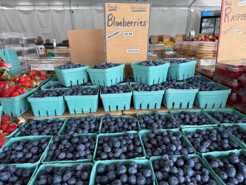 Produce So Fresh It Lasts For Days