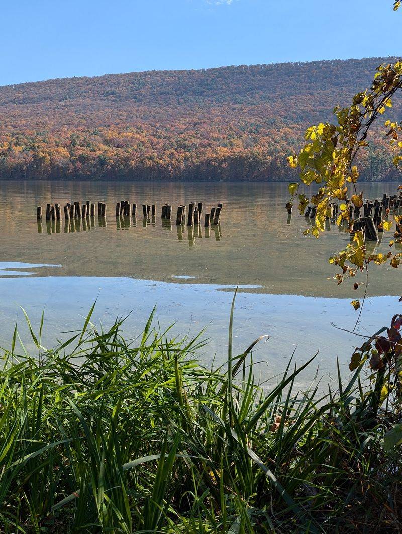 Pumpkin Chunkin and Seasonal Happenings