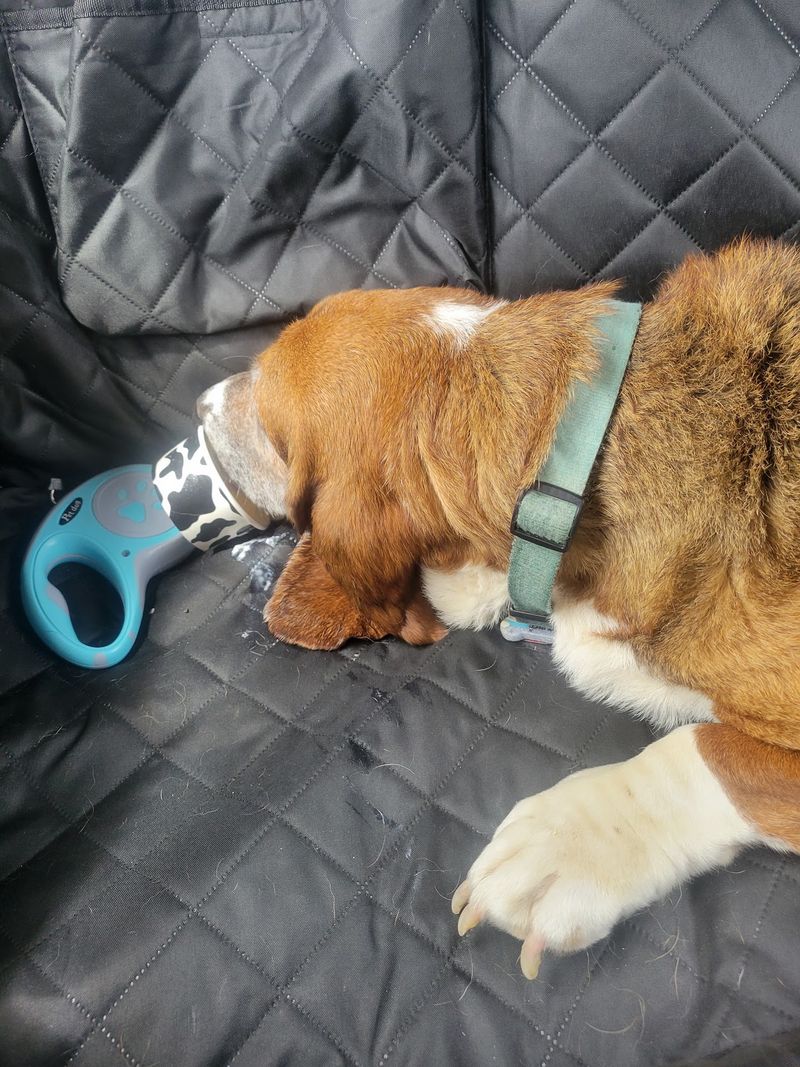 Pup Cups, Mazes, and Farm Fun