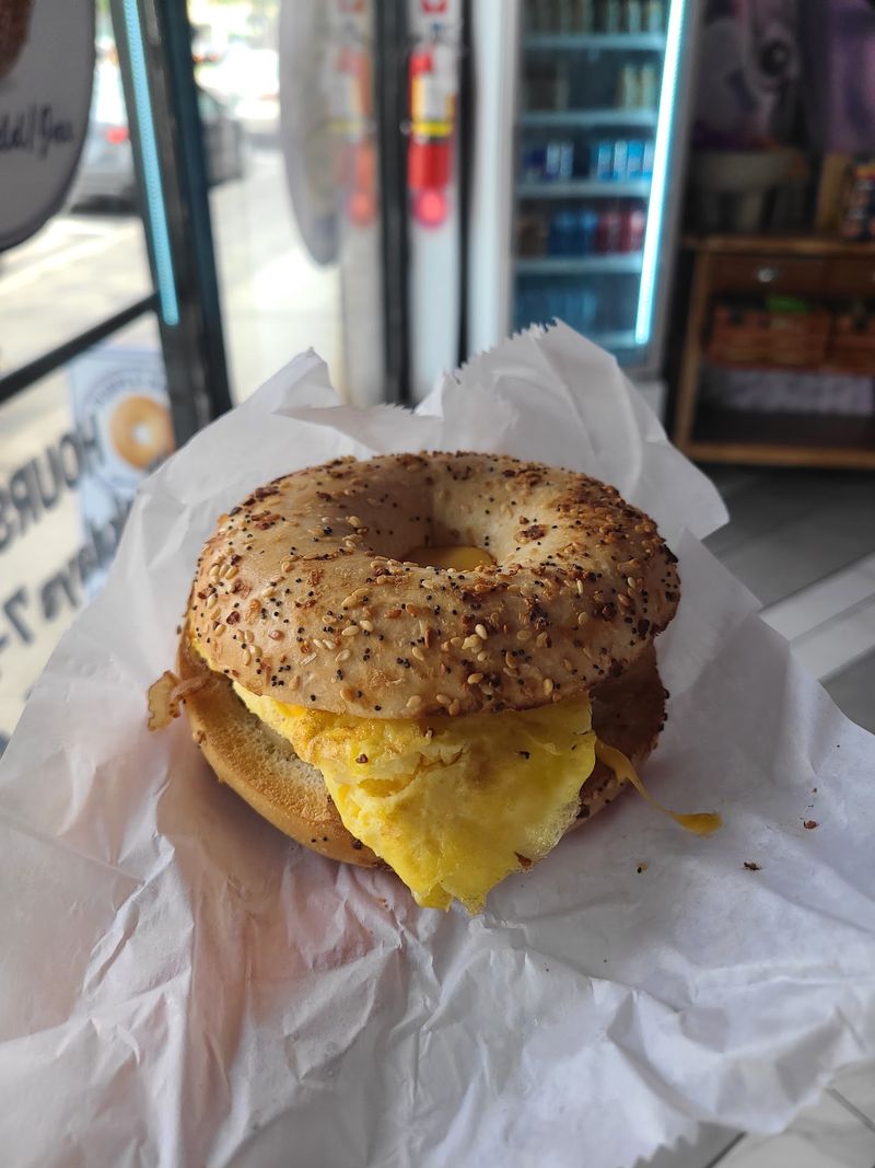 Purple Bagel, Jacksonville, FL Purple Bagel, Jacksonville, FL