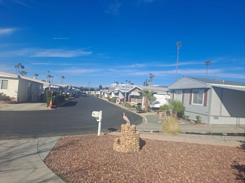 Quiet Streets and Dog-Friendly Corners