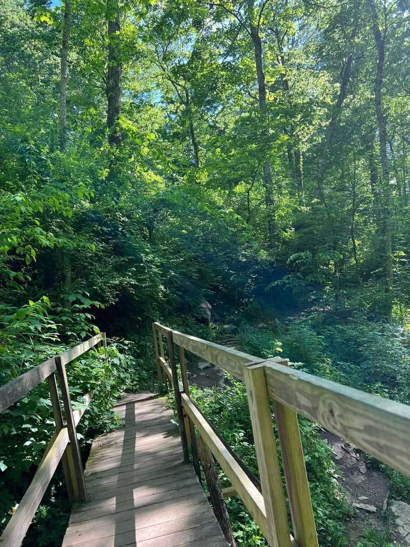 Quiet Woods And Wandering Room Quiet Woods And Wandering Room