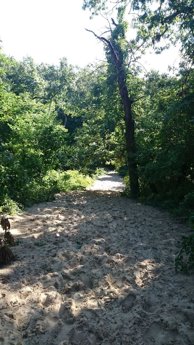 Quieter Trails Behind the Big Climb