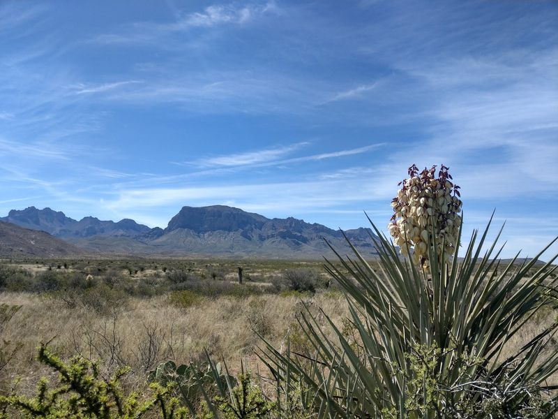 Ranching Roots That Run Deep