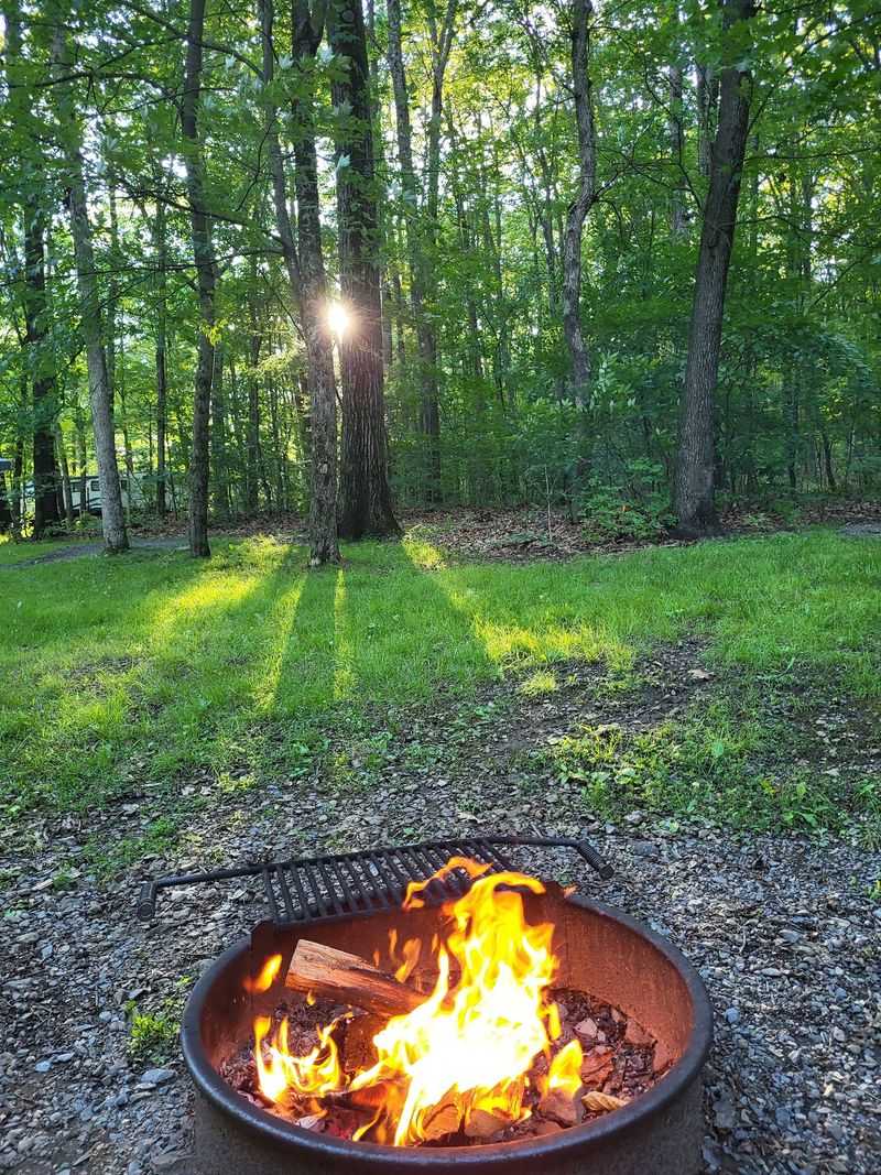 Ranger Programs Worth Setting An Alarm For