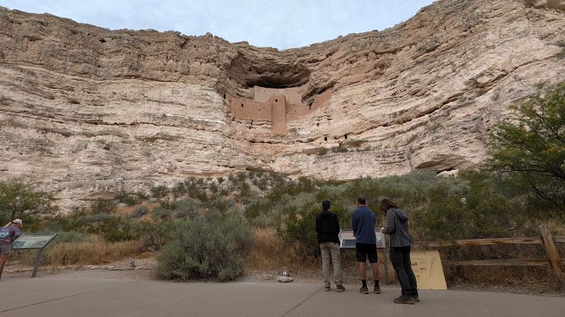 Rangers, Talks, And The BARK Ranger Program