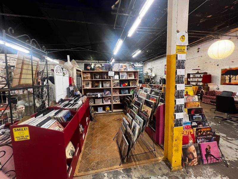 Records, Houseplants, and the Delightfully Odd