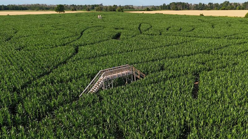 Red Barn Corn Maze, Forestville, WI