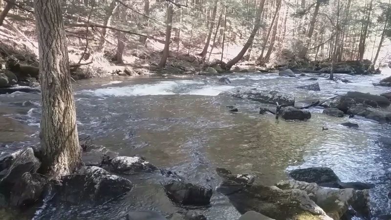 Reeling In a Quiet Afternoon