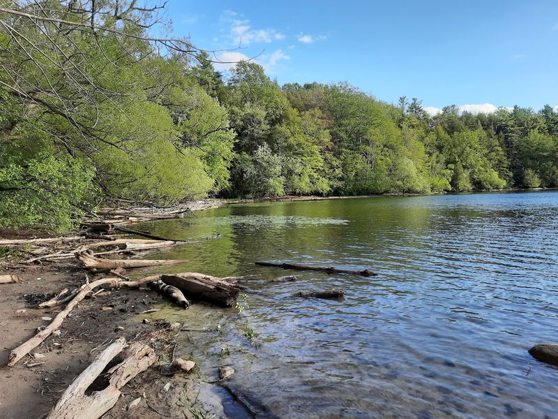 Richmond Hill