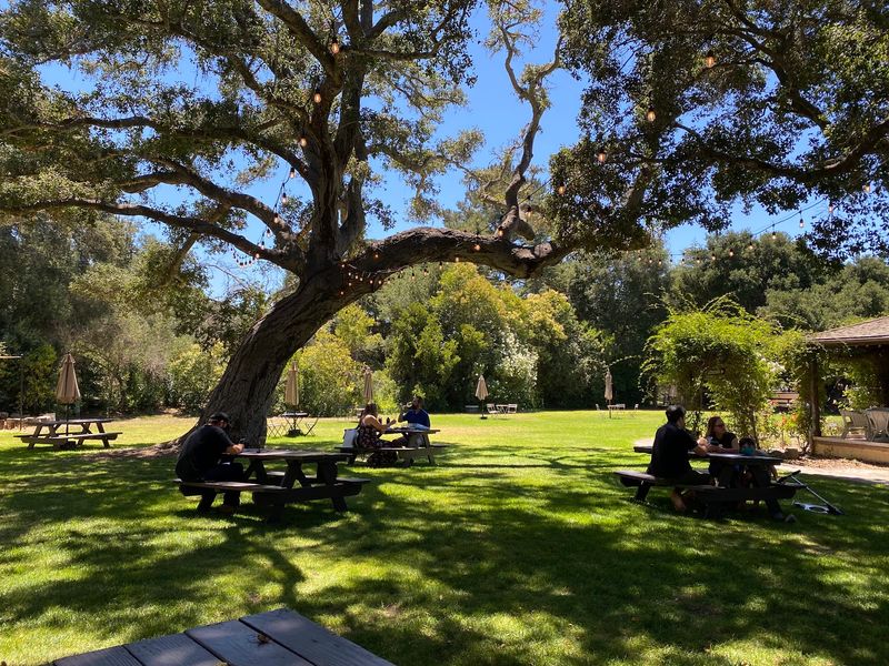 Rideau Vineyard, Solvang, CA Rideau Vineyard, Solvang, CA