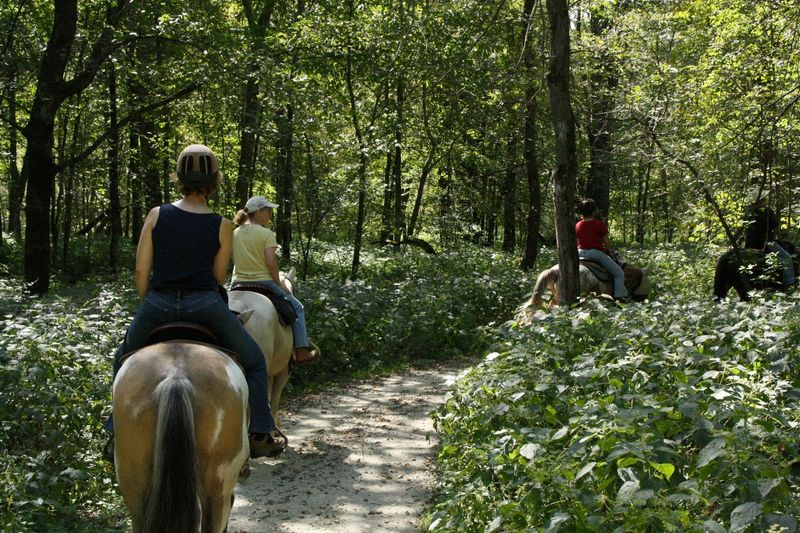 Riding And Camping With Horses Riding And Camping With Horses