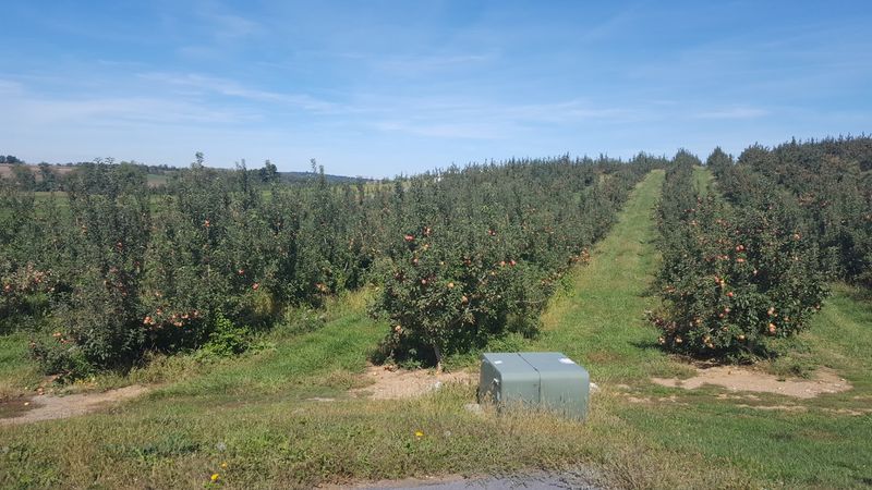 Rinehart Orchards, Smithsburg Rinehart Orchards, Smithsburg