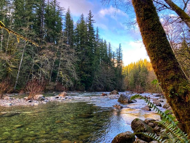 River Access and Quiet Picnic Spots