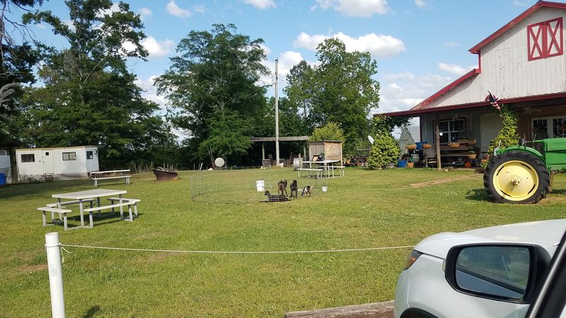 Roadside Stands Along Highway 431, Eufaula