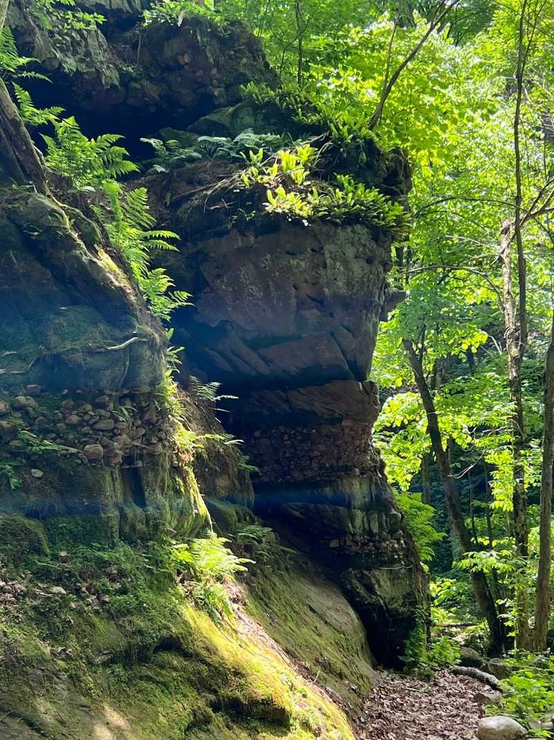 Rock Layers Millions of Years in the Making