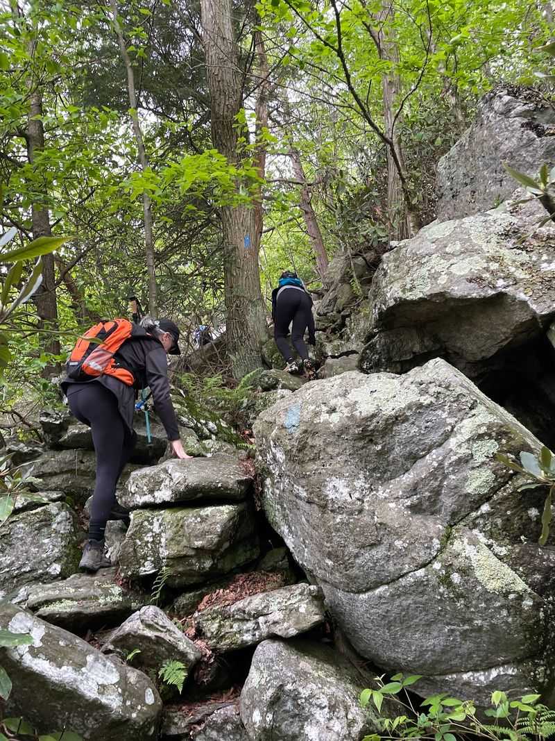 Rock Scrambles for the Bold Rock Scrambles for the Bold