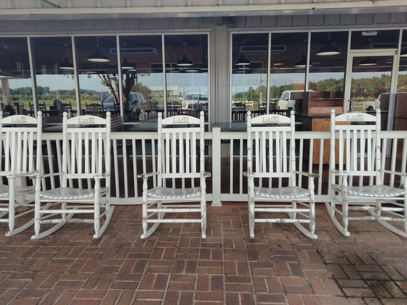Rocking Chairs, Playgrounds, and Wagging Tails