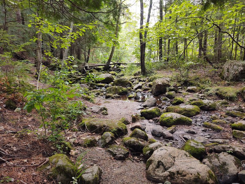 Rocky Terrain And Who Should Skip It Rocky Terrain And Who Should Skip It