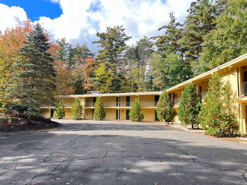 Room for Pets, Kids, and Long Drives